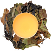 Malawi White Peony